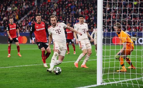 Bet Draw Guru: Master Betting on Draws